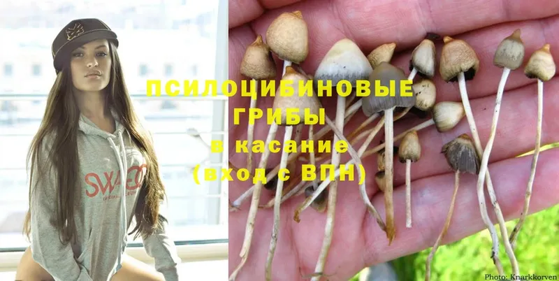 МЕГА ссылки  Бикин  Псилоцибиновые грибы Magic Shrooms 